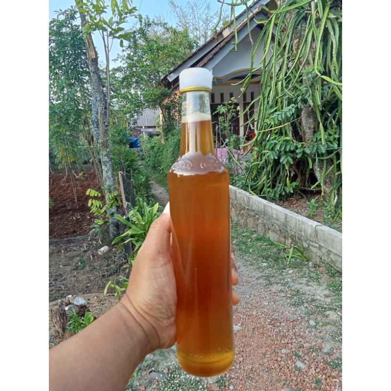 

Madu hutan dijamin keasliannya 500ml