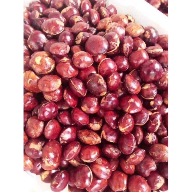 

jengkol tua