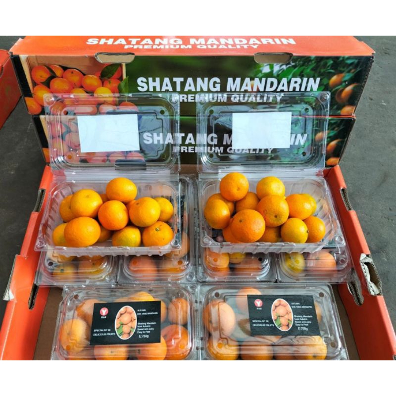 

Jeruk Shantang Premium
