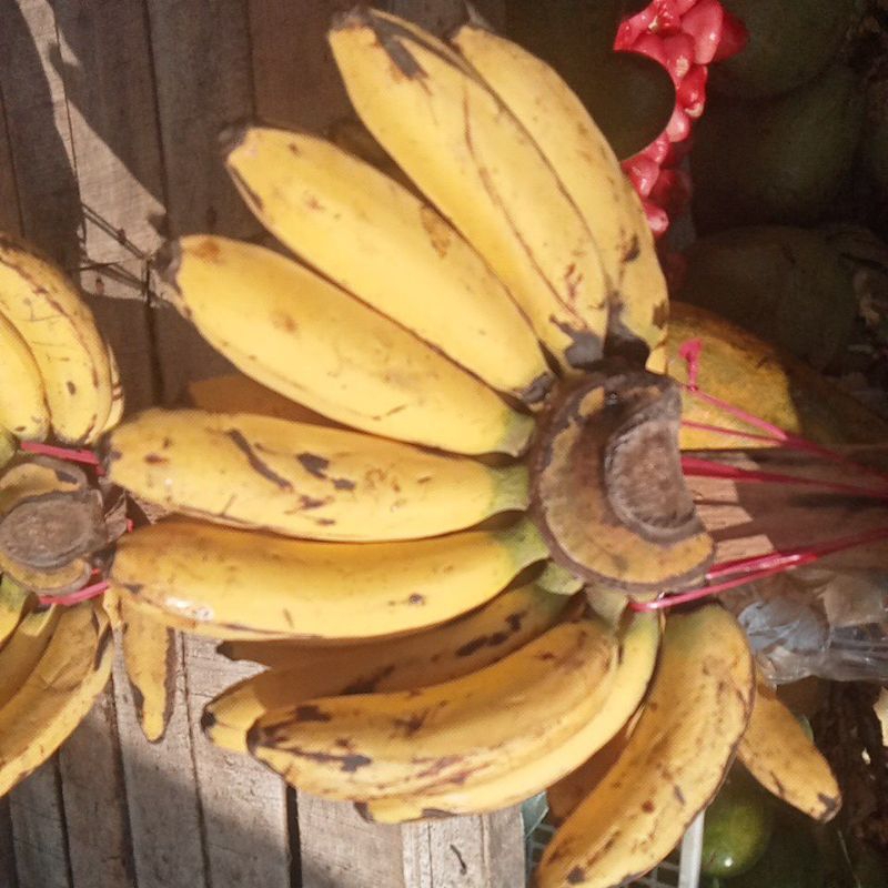 

pisang ampeang segar