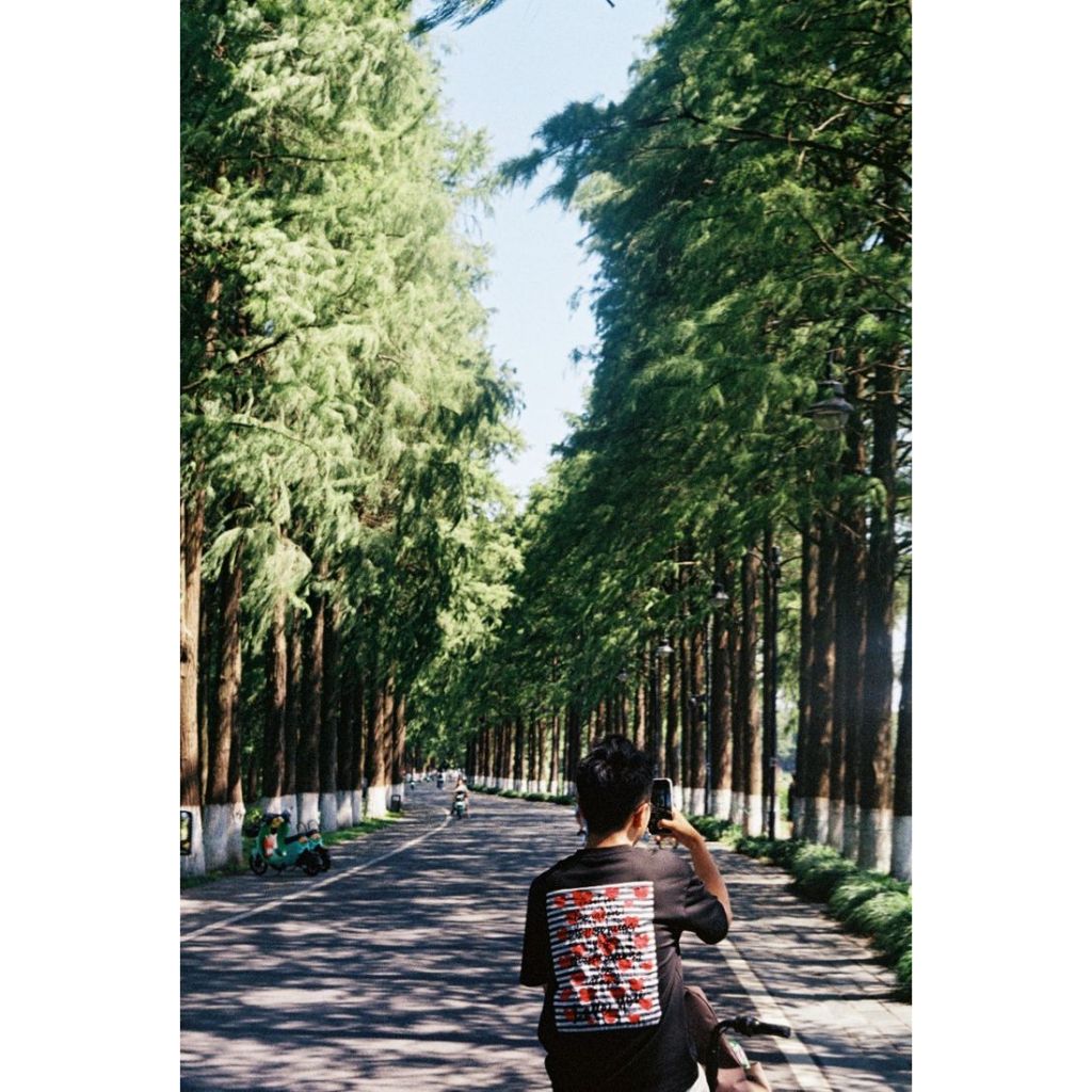 Fujifilm 400 Roll Film 35Mm 36 Exposure / Fujifilm 400 135 Color Prints Film