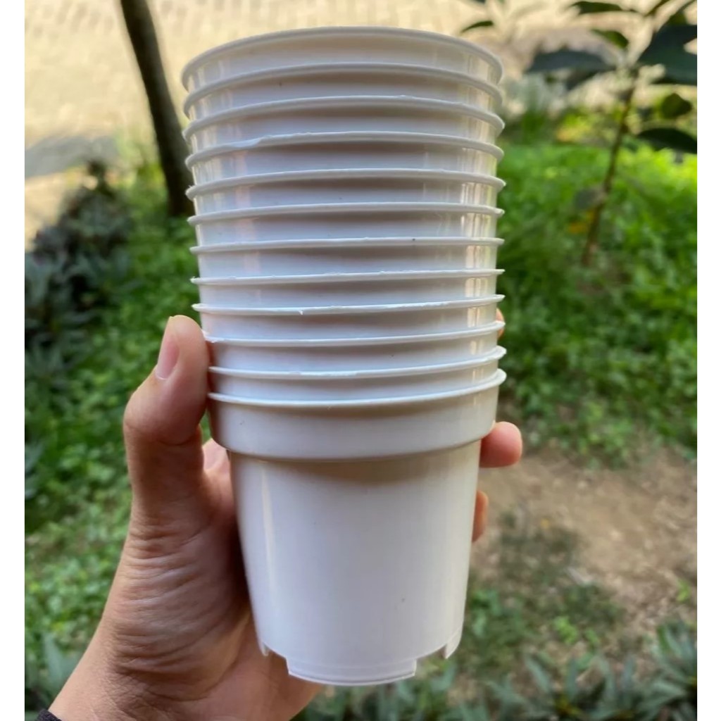 Lusinan Pot Srondol 8 Hitam Putih Coklat Merah Bata (12 pcs)