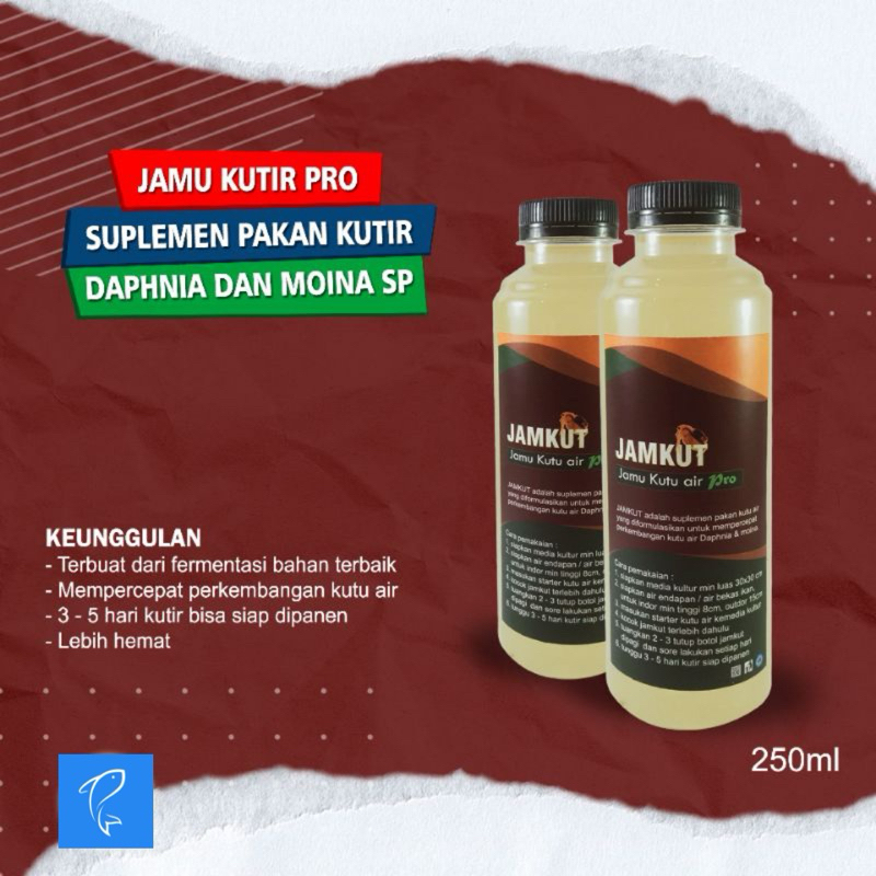 JAMKUT PRO jamu kutu air suplemen pakan kutir Daphnia Magna 245ml dan moina sp macrocoppa