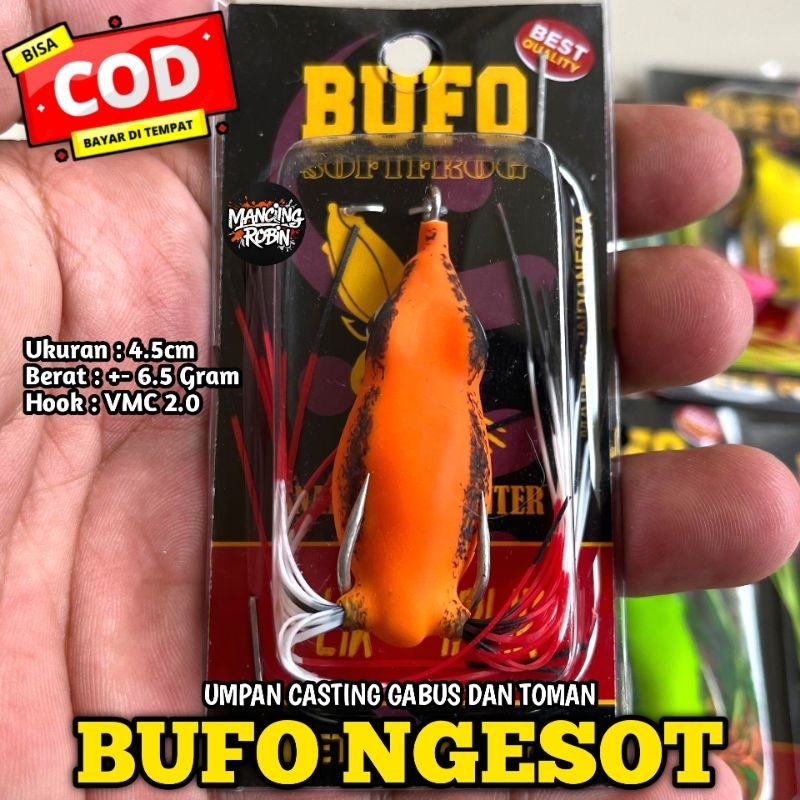SOFROG BUFO NGESOT / BUFO NGESOT / SOFTFROG BUFO