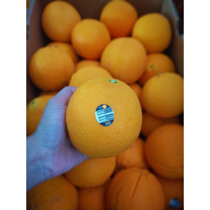 

Sunkist Navel Australia