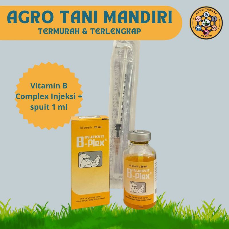B-Complex Injeksi