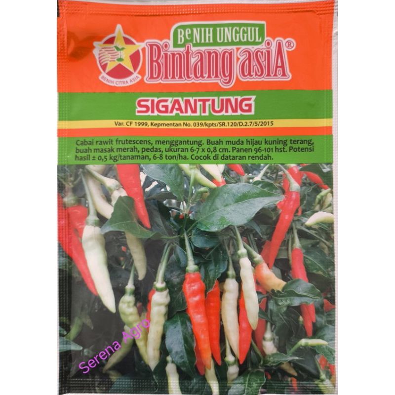 Benih Cabai Rawit Sigantung 10gr