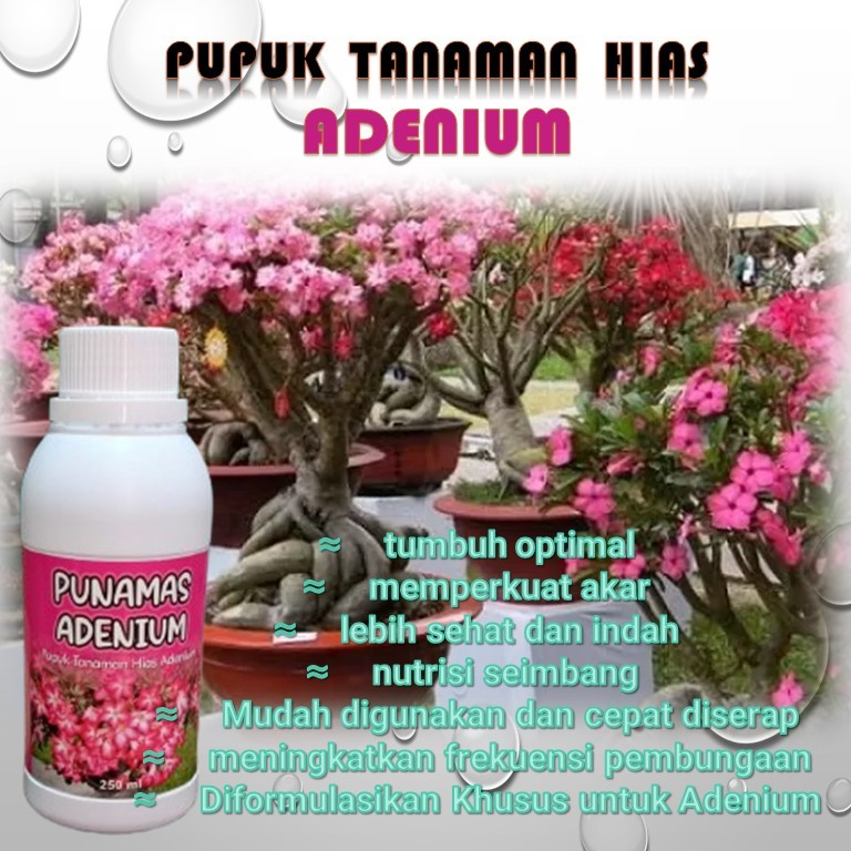 PUPUK ADENIUM / PUPUK BUNGA / nutisis bunga / vitamin bunga / pupuk bunga tanaman hias / pupuk bunga