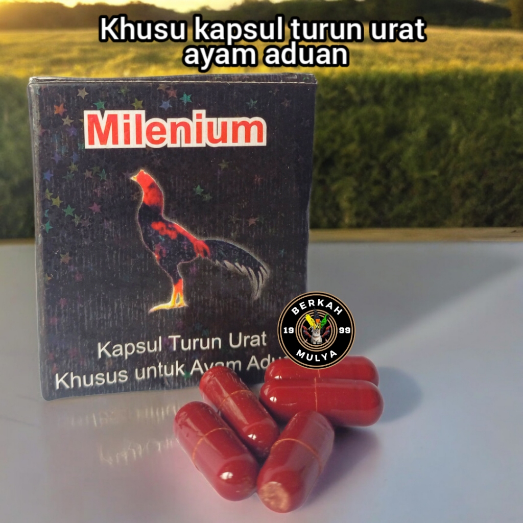 kapsul turun urat ayam milenium turun urat millenium obat untuk ayam jamu ayam pil turun urat ayam