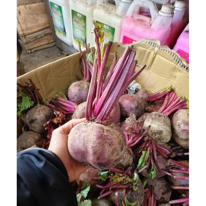 

BUAH BIT / BEET ROOT SEGAR 1KG KAYA ANTIOKSIDAN, BAGUS UNTUK DARAH RENDAH