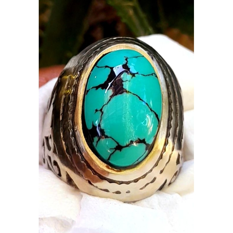 Pirus Persia hijau tosca ceplok kuro HQ