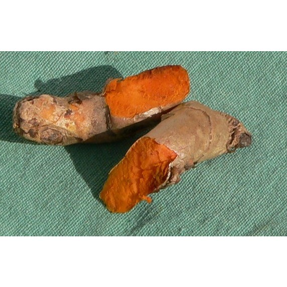 

Kunyit atau kunir segar 1kg