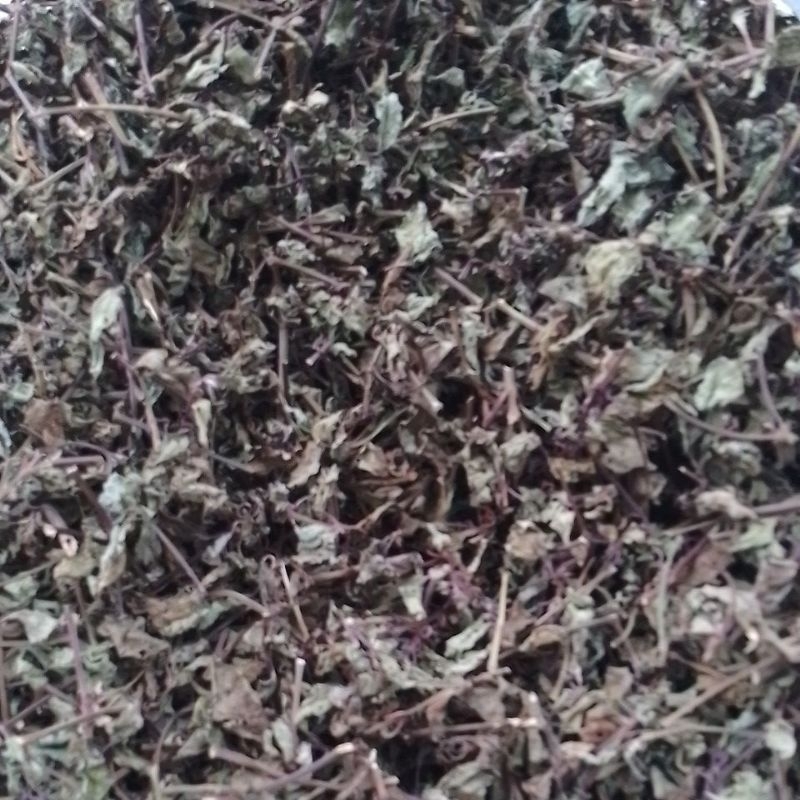 

daun kumis kucing kering alami tanpa kimia 100gr