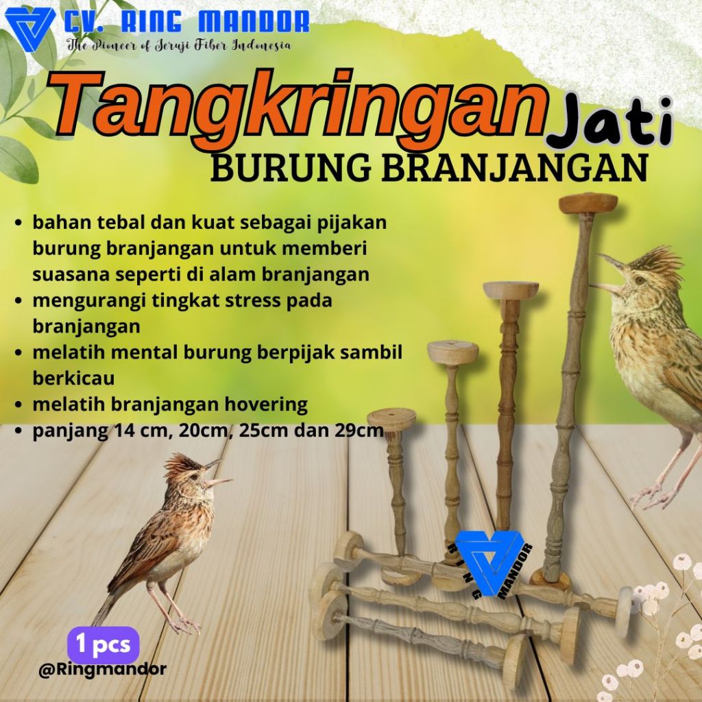 Tangkringan Branjangan tangkringan kayu jati burung branjangan non mur