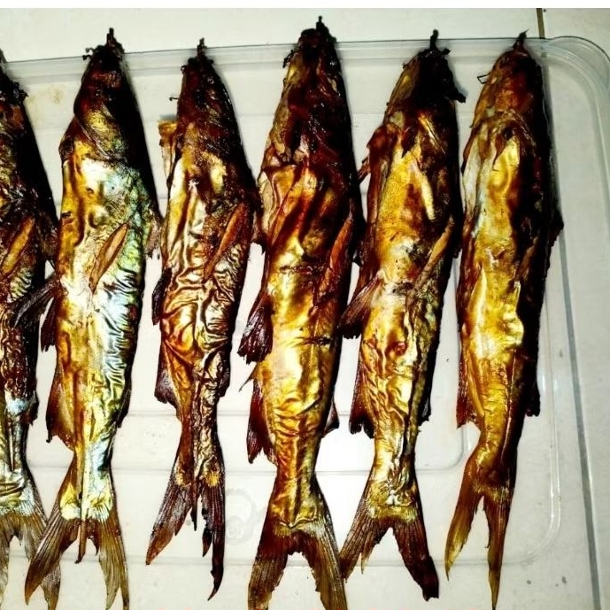 

Ikan Asap Manyung utuh uda bersih isi 5 Murah Rp 17rb