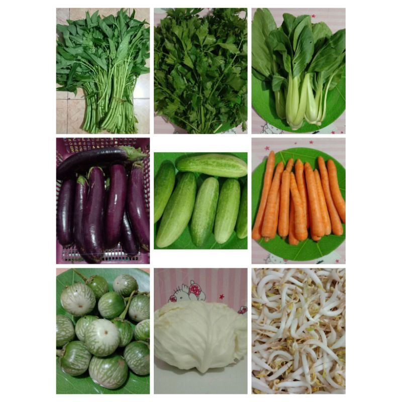 

Paket sayur 5000