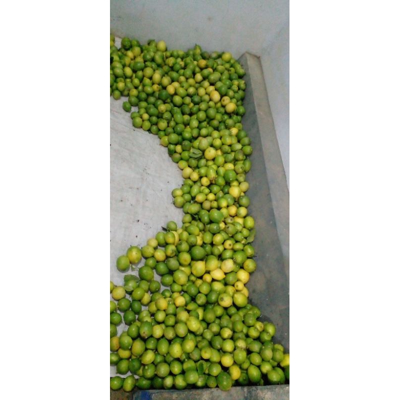 

Lemonmu