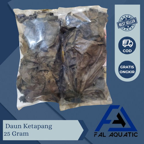 Daun Ketapang Laut 25 Gram / Daun Ketapang / Daun Ketapang laut
