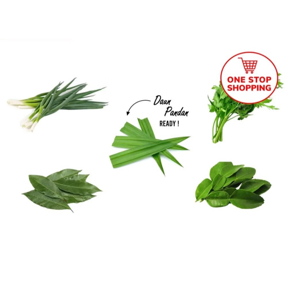 

daun bawang seledri daun jeruk daun salam daun pandan dan aneka daun aromatic
