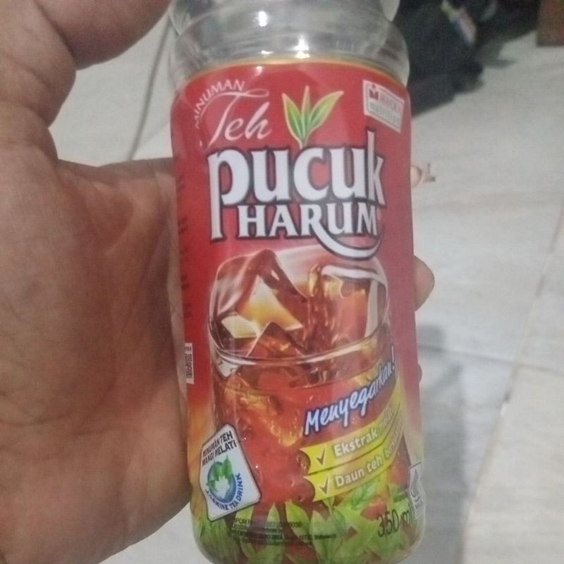 

pucuk