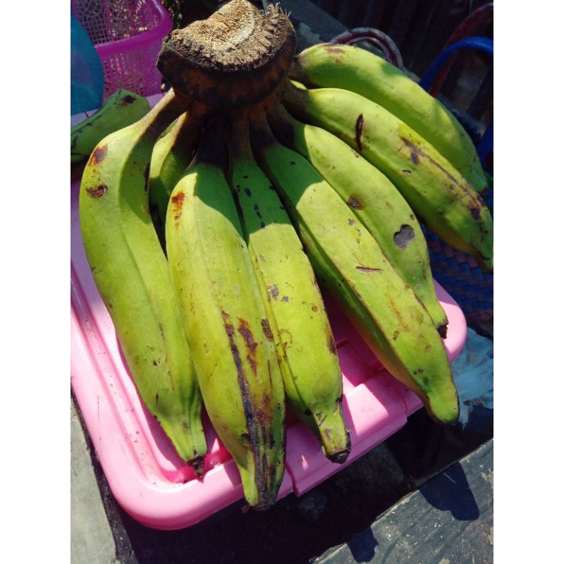 

pisang raja nangka mengkel/setengah matang 1 kilo