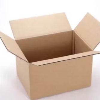 

Dus/bubble/lakban(untuk keamanan paket anda)