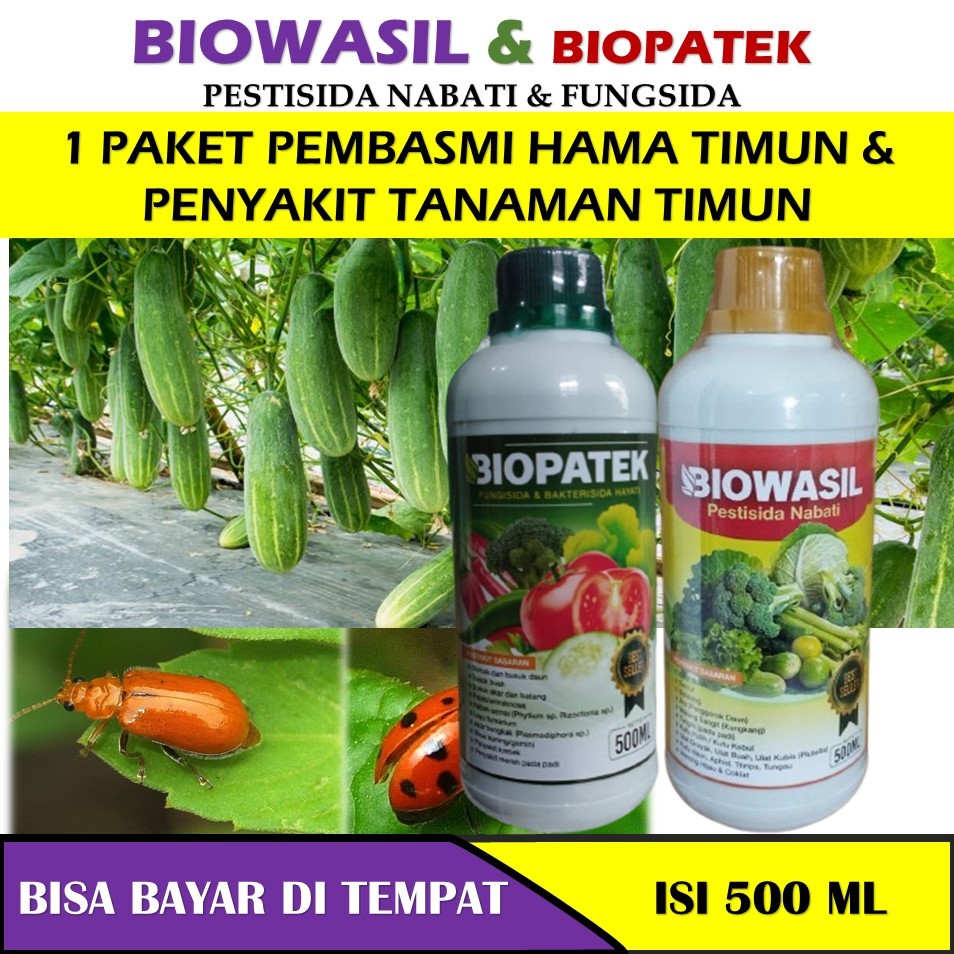 paket terlaris biowasil & biopatek obat hama penyakit mentimun terbaik - obat pembasmi hama mentimun