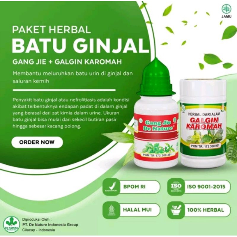 

obat batu ginjal alami