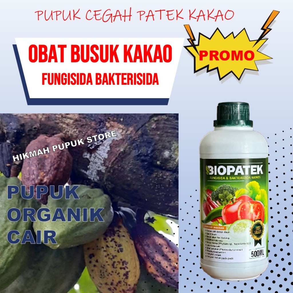 Pupuk Antranoksa atau Patek Pada KAKAO Fungisida Mencegah Serangan Patek pada Tanaman KAKAO/COKELAT 
