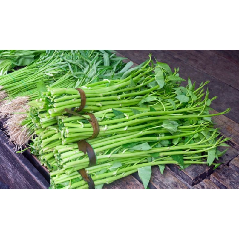 

sayur kakung potong 1 ikat