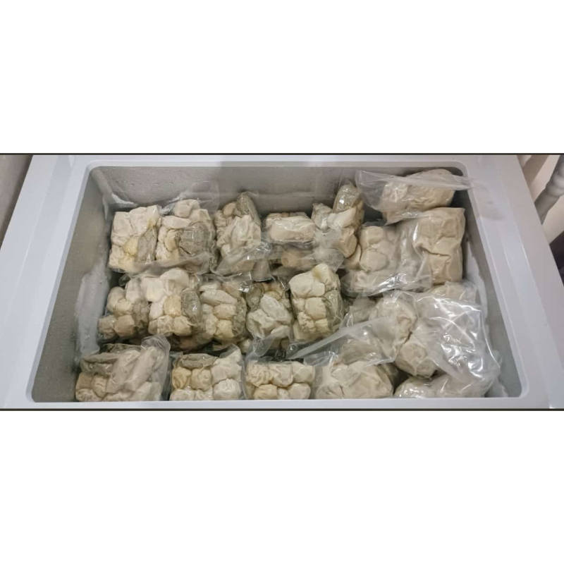 

PEMPEK ASLI PALEMBANG + CUKO