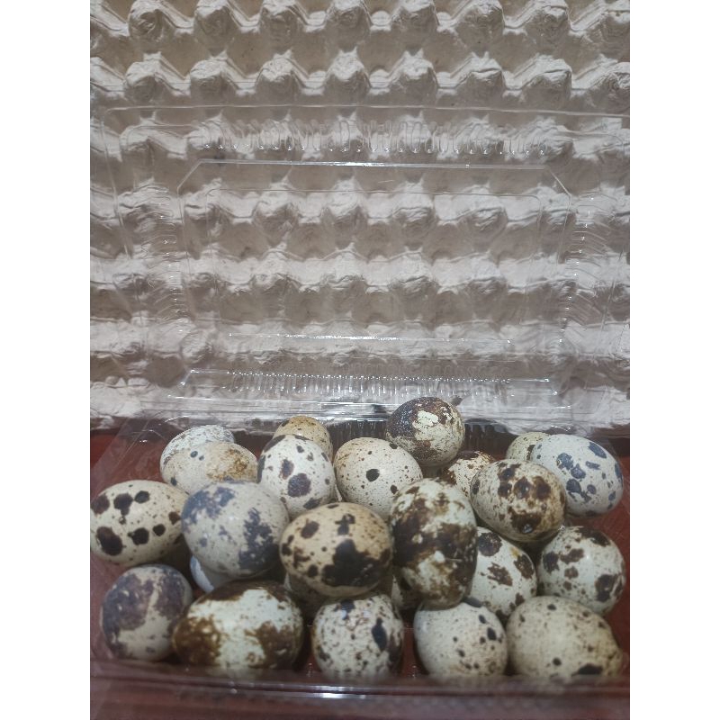 

Telur Puyuh isi 20 butir