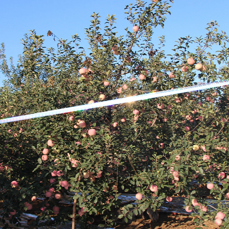 80m Pita Pengusir Burung Plastik Pengusir Burung Pengusir Burung Di Sawah Pengusir Burung