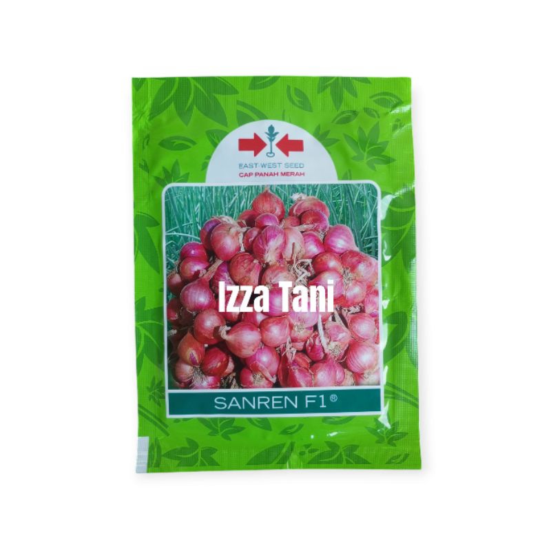 Benih Bawang Merah Sanren F1 Bibit Bawang Merah 10 Gram Bawang Merah