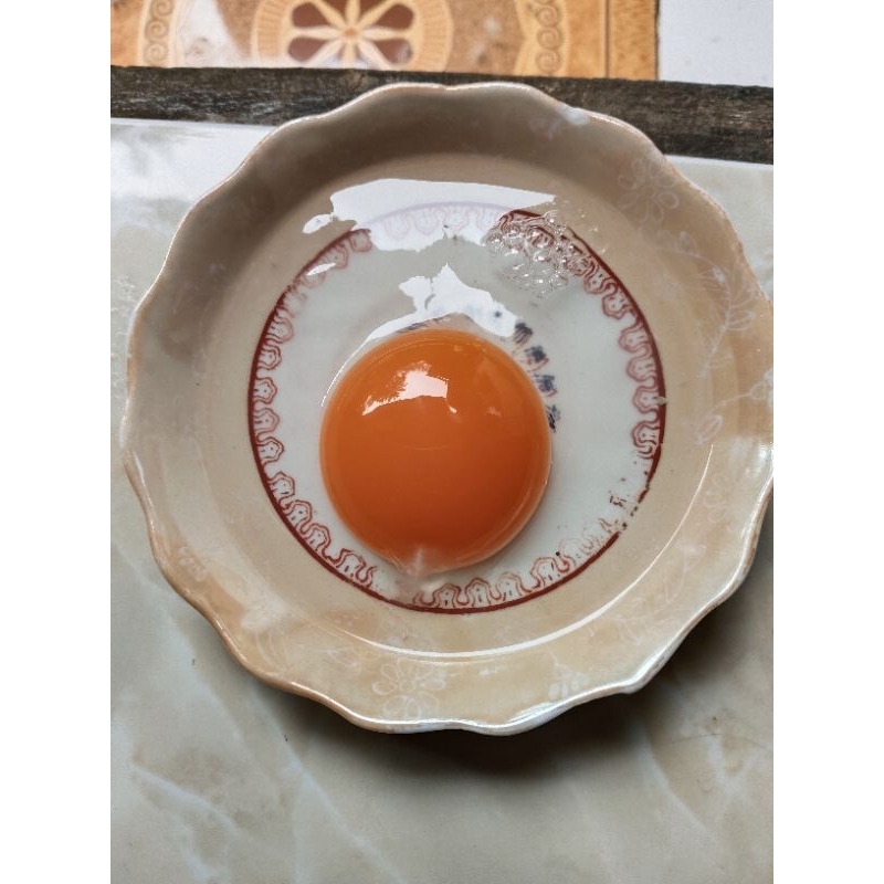 

PJ Telur Bebek isi 10 pcs
