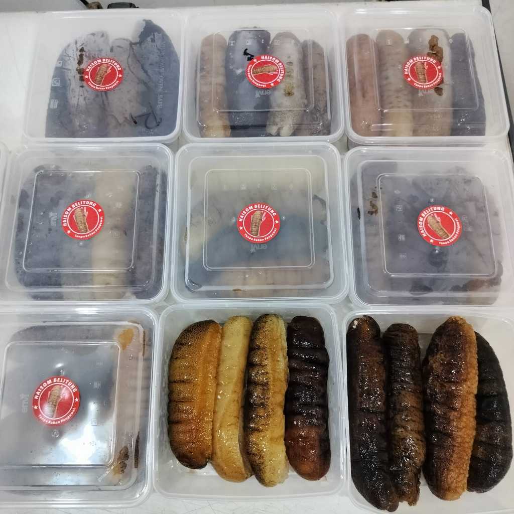 

HAISOM / TERIPANG GOSOK BELITUNG 1 KG DAN 500 GR