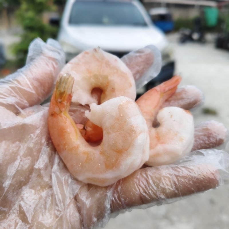 

UDANG KUPAS JUMBO SIZE XL