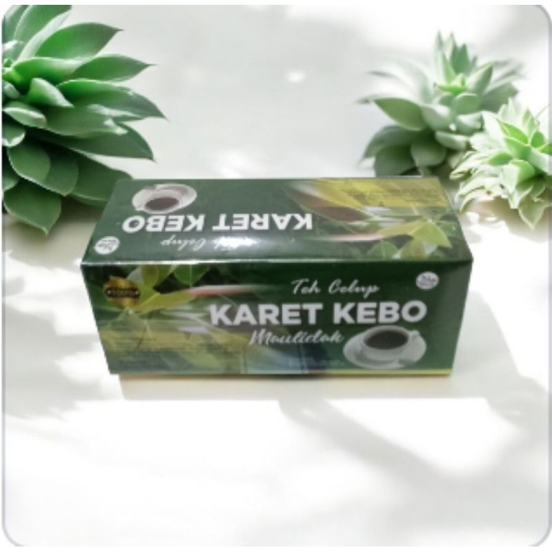 

Teh celup karet kebo/ Teh herbal karet kebo isi 20 teh celup