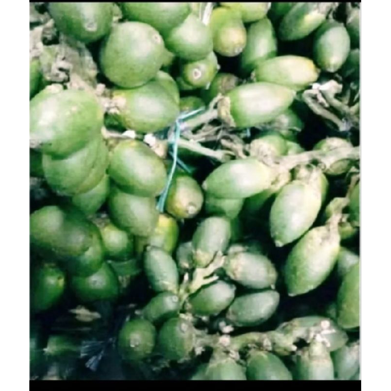 

Pinang Muda 1Kg /Penambah Stamina/Buah Jebug