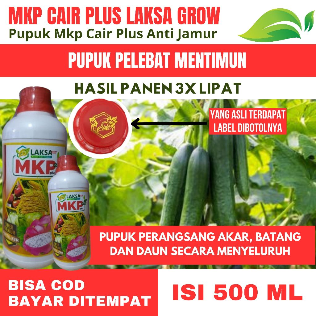 Pupuk Pelebat Buah Mentimun Terbaik, Pupuk MKP Cair LAKSA GROW Pelebat Timun tanpa Rontok