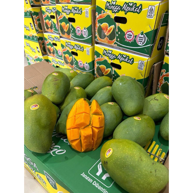 

MANGGA ALPUKAT 1 DUS 5KG MANIS
