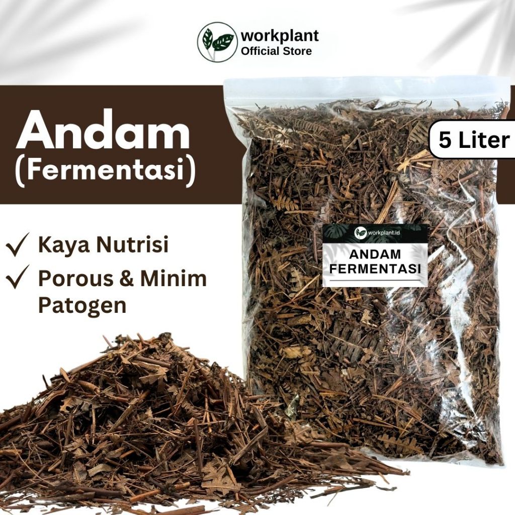 Workplant - Andam Fermentasi Humus Daun Batang Untuk Media Tanam Tanaman Hias Aglonema Philodendron 