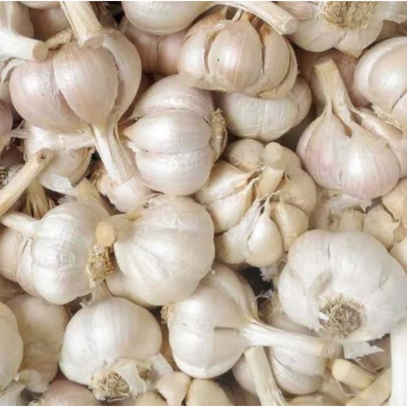 

Bawang Putih Honan 500gram