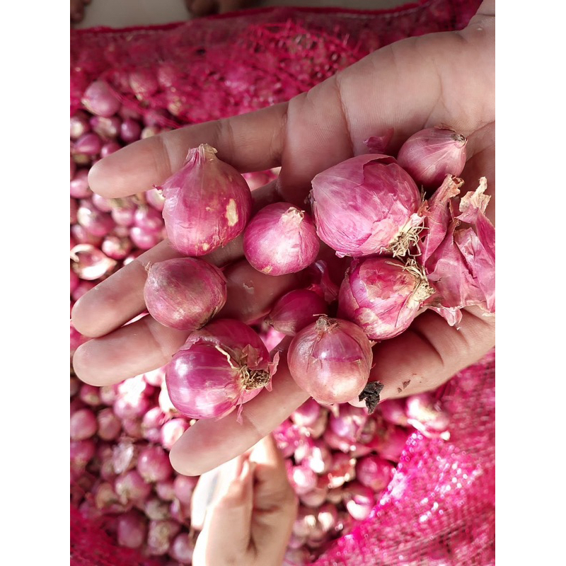 

Bawang Merah Super Fresh Brebes 1kg Super