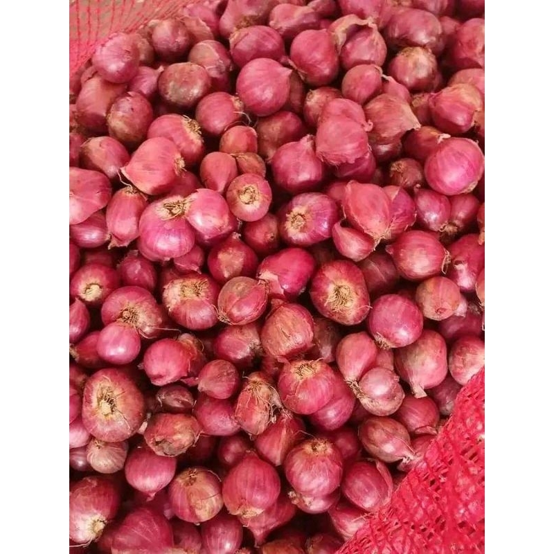 

BAWANG MERAH BIMA SUPER 1kg gram