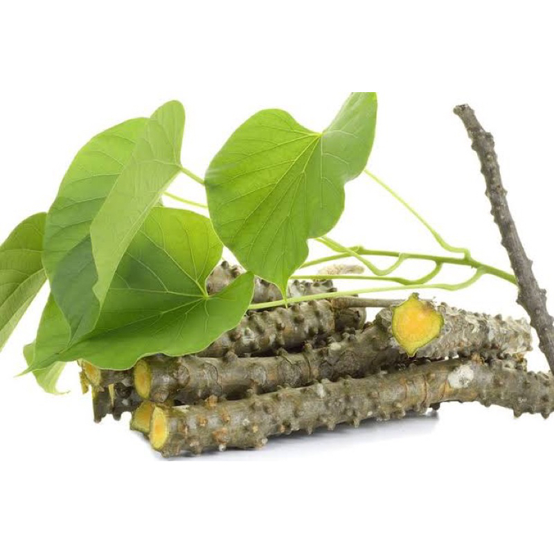 Batrawali Sapih ASI 100gram