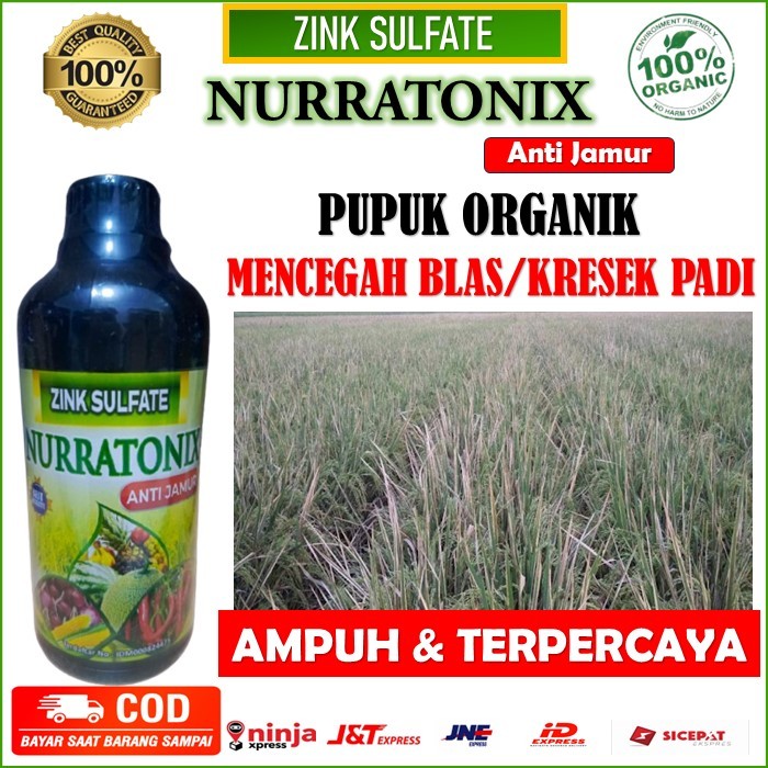 ZINK NURRATONIX Obat Atasi kresek Daun padi - Obat Kresek Daun Padi - ZINK SULFATE NURRATONIX ANTI J