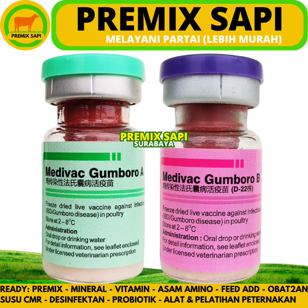VAKSIN MEDIVAC GUMBORO A & B 100 DOSIS + PELARUT - Vaksin Gumboro IBD Aratan Ayam Burung Unggas