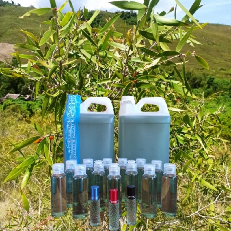 Minyak Kayu Putih Aseli dari Pulau Buru Ambon Maluku-Eucalyptus Oil Murni 100%