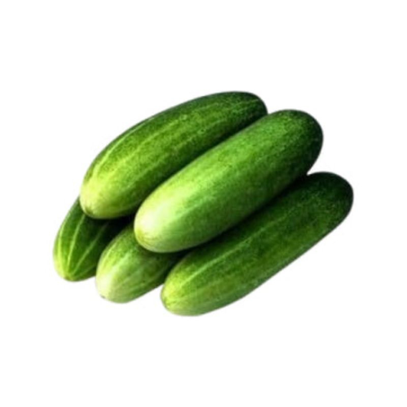 

Timun Kecil / Timur acar 3pcs